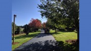 Paving In Oregon